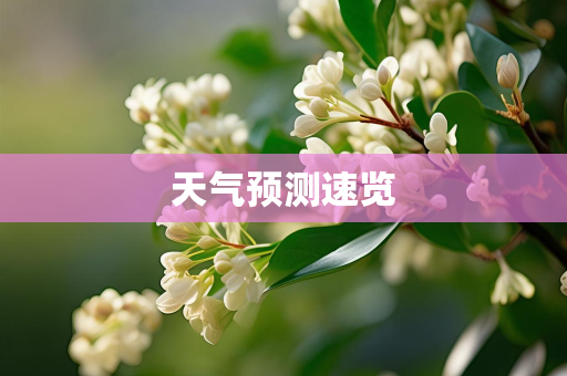 天气报告知识