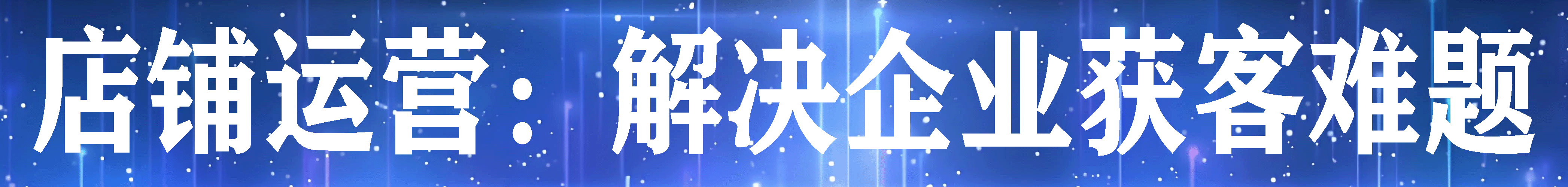 1店铺运营