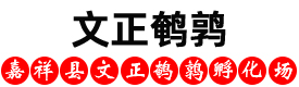鹌鹑养殖场,鹌鹑苗