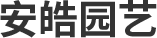 办公室植物租赁