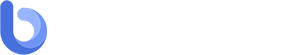 必搜·站长工具