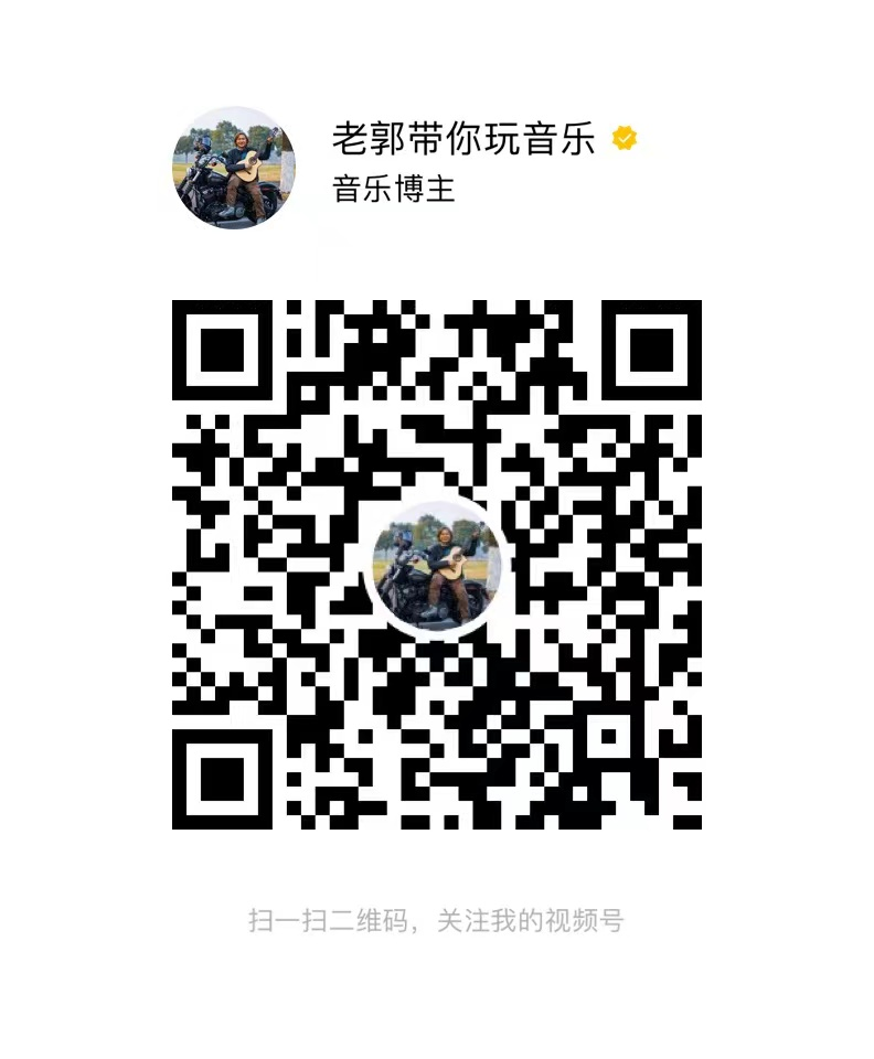 菠萝琴行