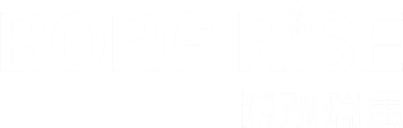 博观瑞思集团