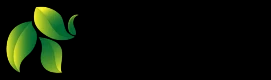 格致茶网