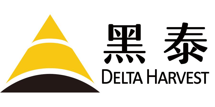 黑泰