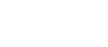 飞讯鸟
