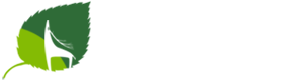 动物标本