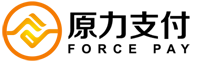 支付接口