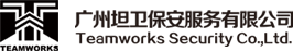 广州坦卫保安服务有限公司