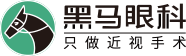 杭州黑马眼科只做近视手术更专业.设有全飞秒