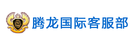 腾龙国际客服经理