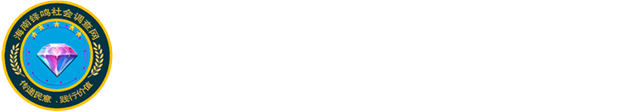海南铎鸣社会调查网