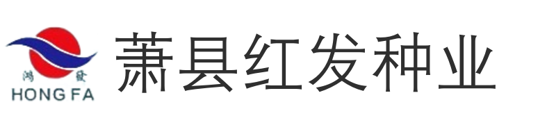 辣椒种子