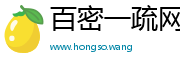 百密一疏网
