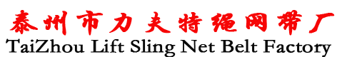 泰州市力夫特绳网带厂尼龙吊网