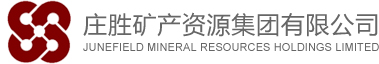 庄胜集团