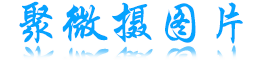 头像图片