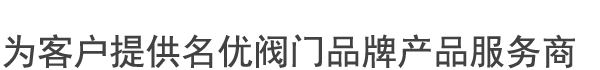 专业的阀门服务