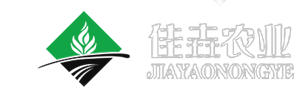 芽球玉兰