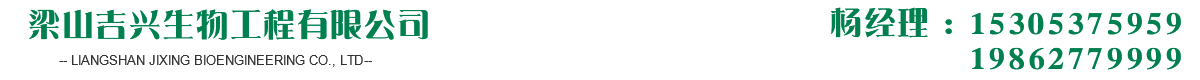 中高温酒曲