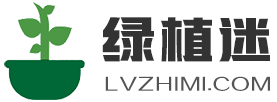 绿植迷
