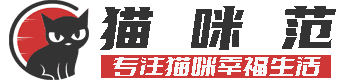 猫咪范
