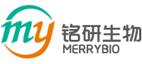 抗体开发
