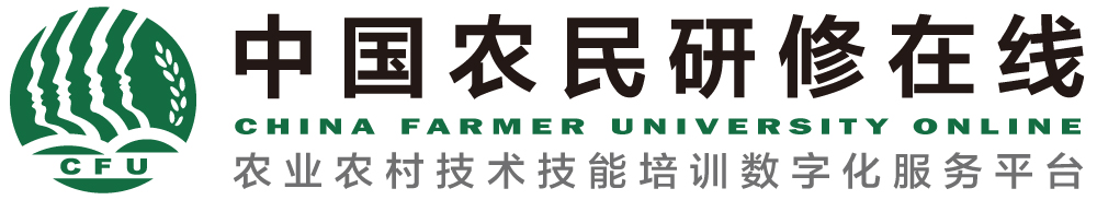 首页