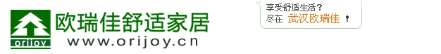 德国菲斯曼壁挂炉