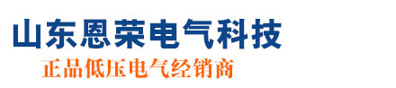 恩荣电气