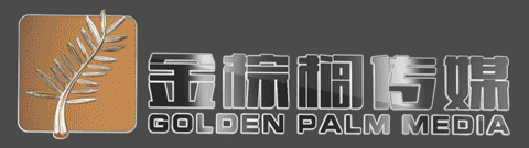 金棕榈传媒