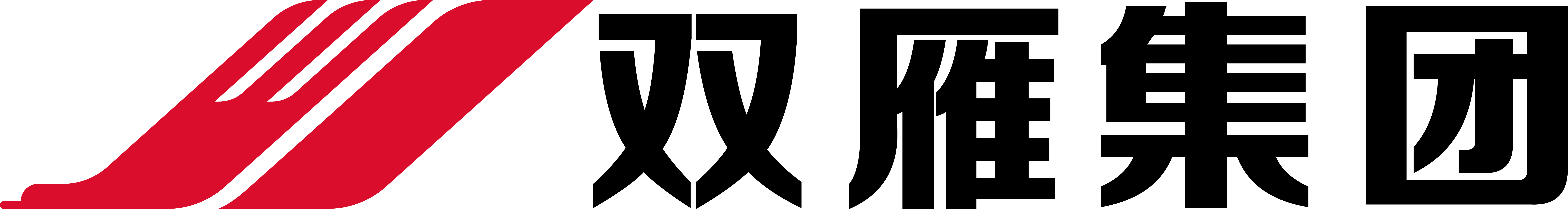 山西双雁健康产业（集团）有限公司