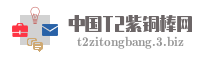 中国T2紫铜棒网