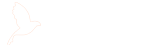 天津和平人才网