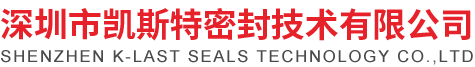 全氟醚橡胶O型圈