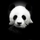 天水信息网