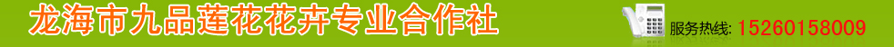 龙海市九品莲花花卉专业合作社