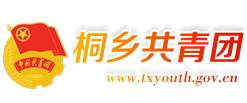 共青团桐乡市委
