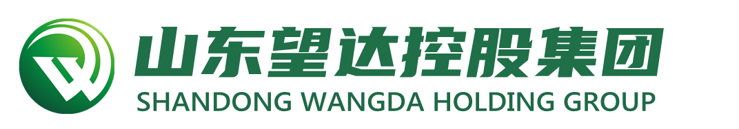 山东望达控股集团