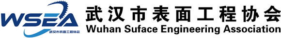 武汉市表面工程协会