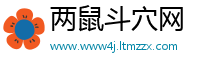 两鼠斗穴网