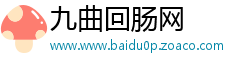 九曲回肠网