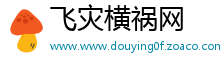 飞灾横祸网