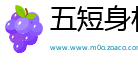 五短身材网