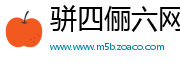 骈四俪六网