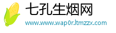 七孔生烟网
