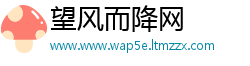 望风而降网