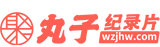 丸子纪录片