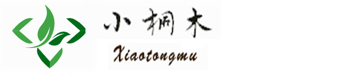 小桐木护足精油