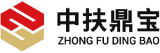 成都中扶鼎宝科技有限公司